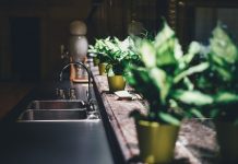 plante populare de bucătărie