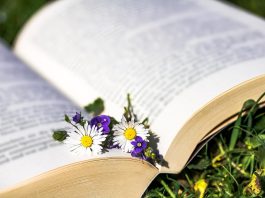 Diana Gabaldon