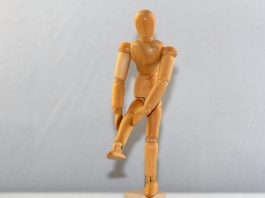 Genunchi: structură, rol și afecțiuni frecvente Genunchiul