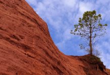 Culoarea ocru – căldură, naturalețe și rafinament discret Ocrul