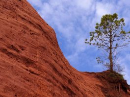 Culoarea ocru – căldură, naturalețe și rafinament discret Ocrul