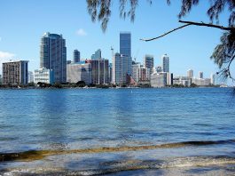 Key Biscayne – o oază tropicală la doar câțiva kilometri de agitația din Miami Key Biscayne