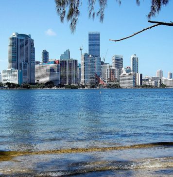 Key Biscayne – o oază tropicală la doar câțiva kilometri de agitația din Miami Key Biscayne