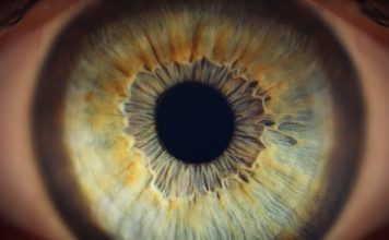 Ce este pupila și ce rol are în funcționarea ochiului organ ocular