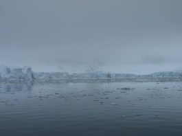 Insula Petermann