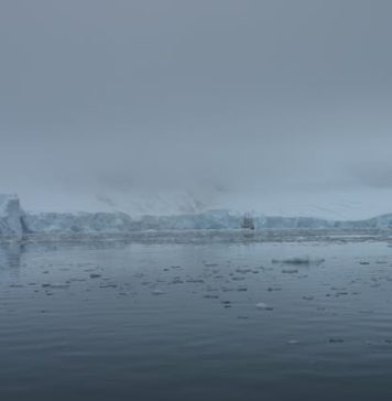 Insula Petermann: bijuteria antarctică unde pinguinii și ghețarii Insula Petermann