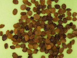 Stafidele de casă